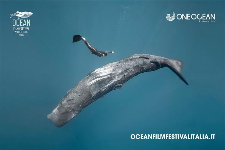 Immagine per articolo One Ocean Foundation and Ocean Film Festival Italia: an alliance to tell the story of the sea