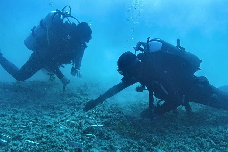 Immagine di copertina