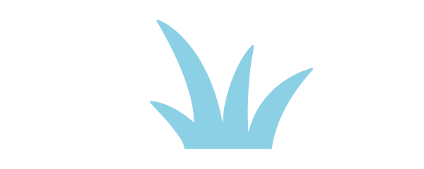 Card Icon