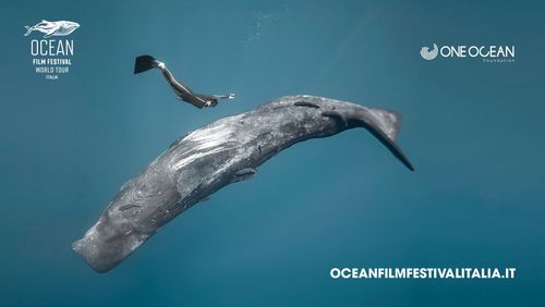 One Ocean Foundation and Ocean Film Festival Italia: an alliance to tell the story of the sea
