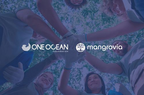 Mangrovia e One Ocean Foundation: una nuova collaborazione